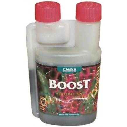 Boost Accelerator