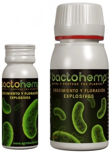 Bactohemp