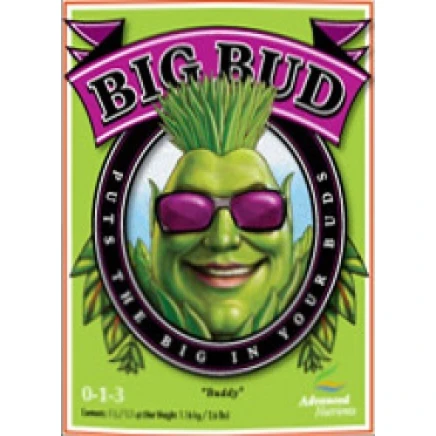 Big Bud