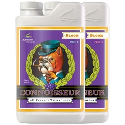 Connoisseur Bloom A - B