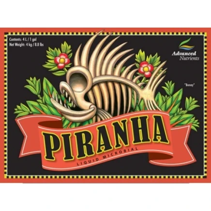 Piranha