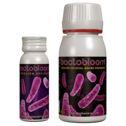 Bactobloom