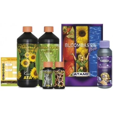 Bloombastic Box Terra