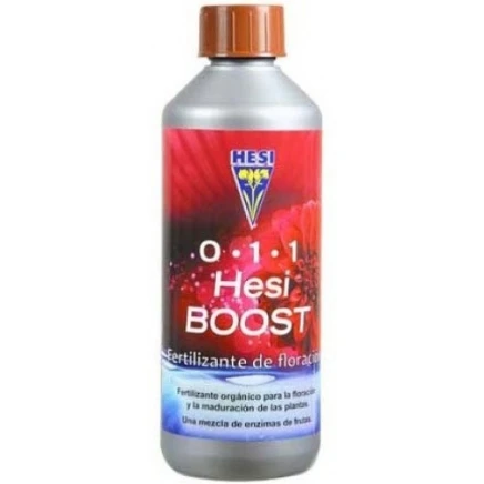 Hesi BOOST