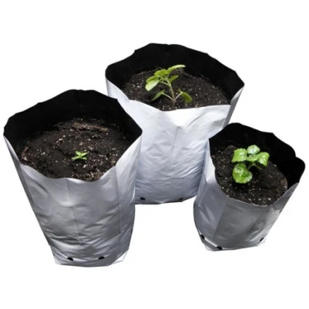 Bolsa de Cultivo Blanca