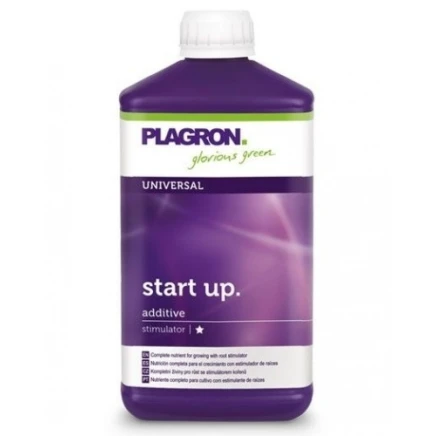 Start Up