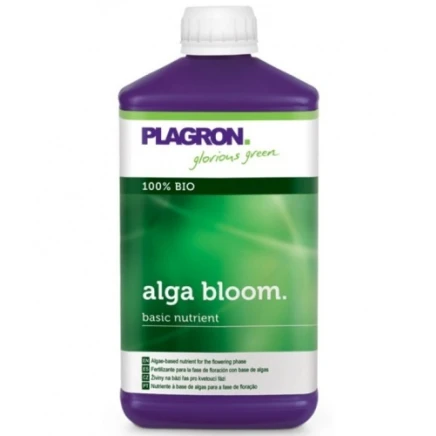 Alga Bloom