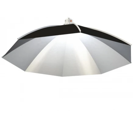 Reflector Vertical Daisy