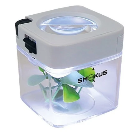 Bote Expositor The Comet