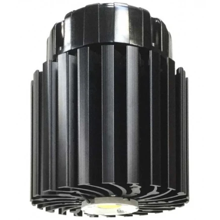 LED TGL STAR CREE 6500K