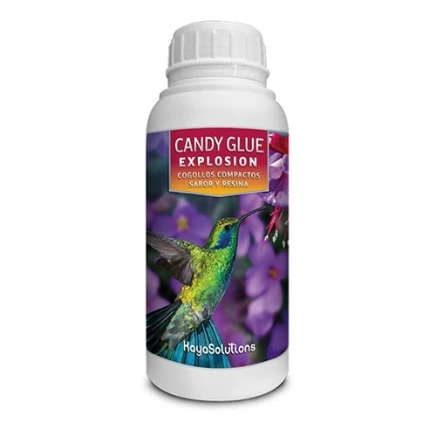 Candy Glue Explosion