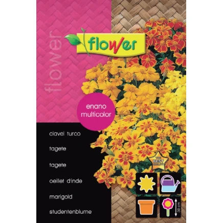 Clavel Turco Enano Multicolor