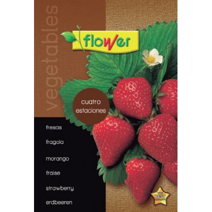 Fresas Cuatro Estaciones