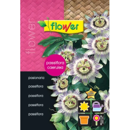 Pasionaria Trepadora Blanca