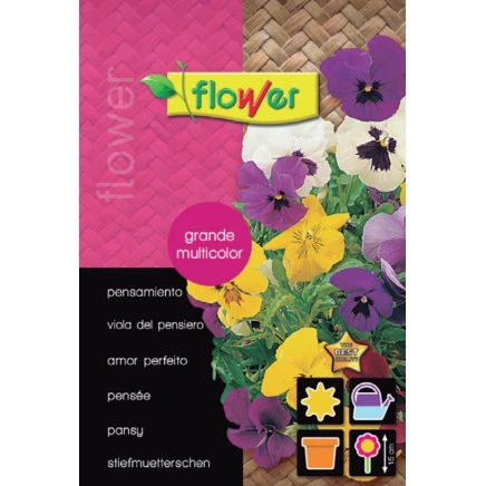 Pensamiento Grande Multicolor