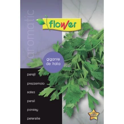 Perejil gigante de Italia (Napolitano)