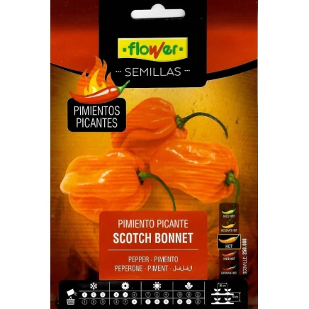 Scotch Bonnet