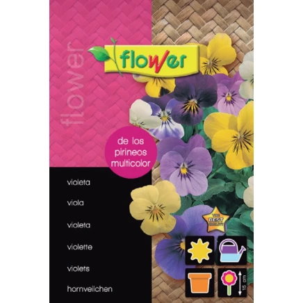 Violeta de los Pirineos Multicolor