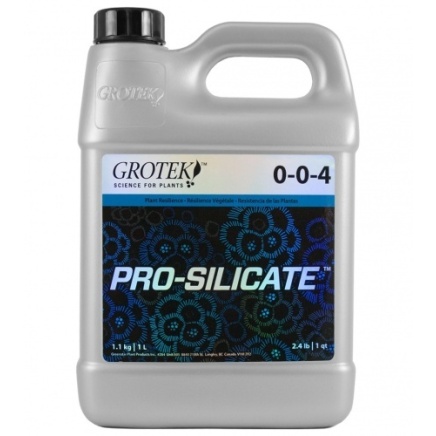 Pro-Silicate - 1 litro