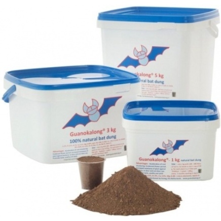Guanokalong Polvo