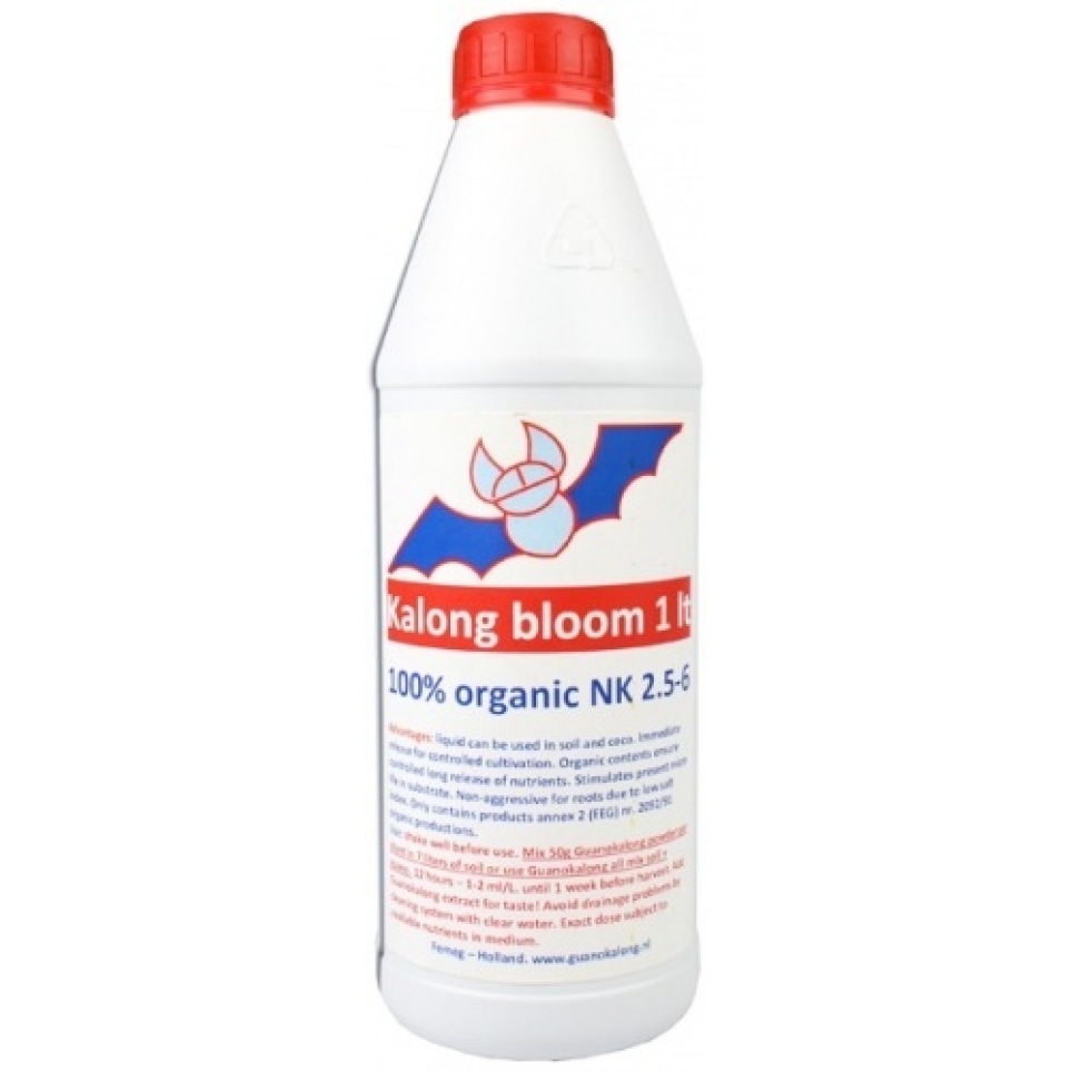 Kalong Bloom