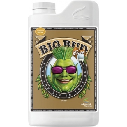 Big Bud Coco