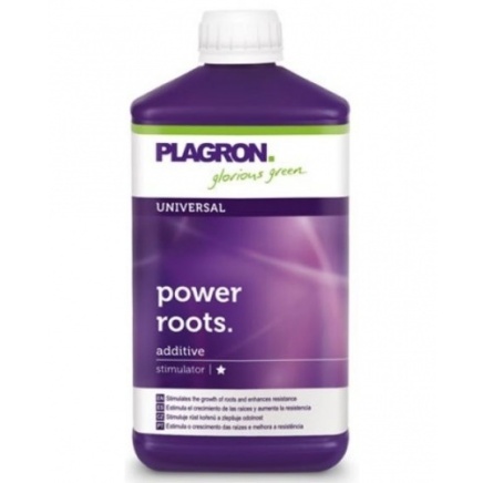 Power Roots