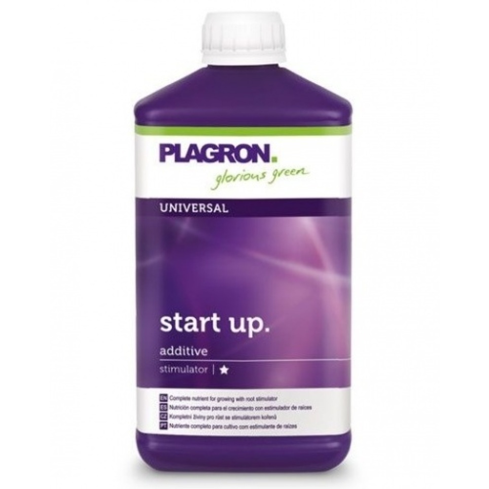 Start Up