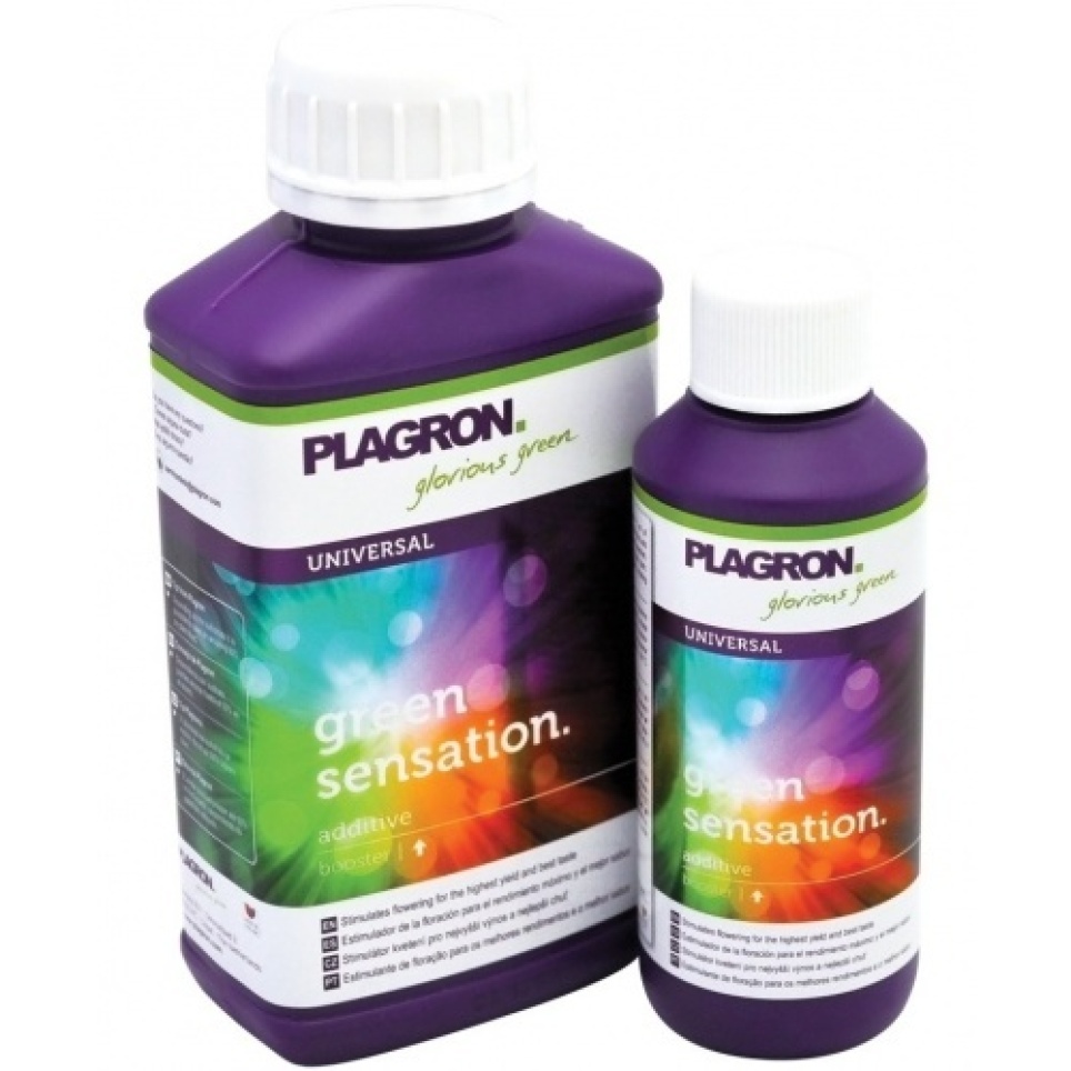 Green Sensation