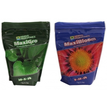 Maxi Series - 1 Kg