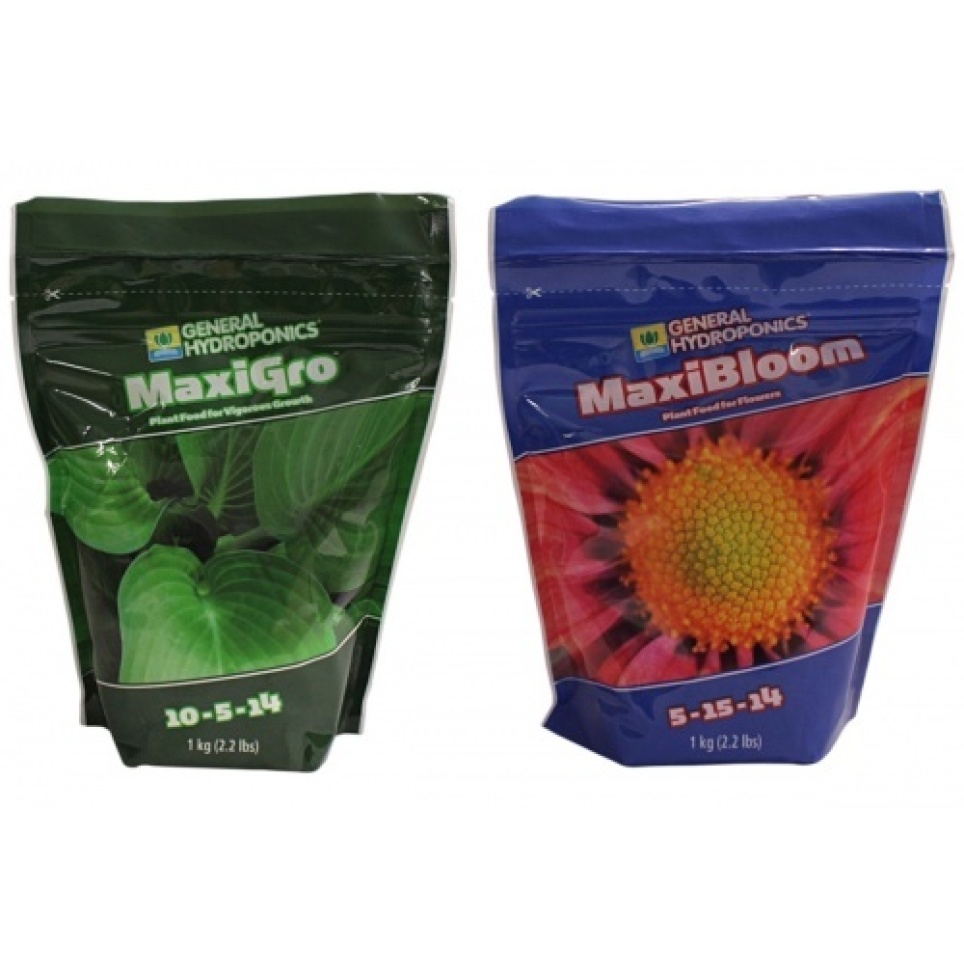 Maxi Series - 1 Kg