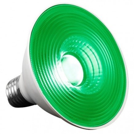 Bombilla Verde Agrolite Dark Night