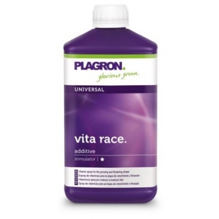 Vita Race