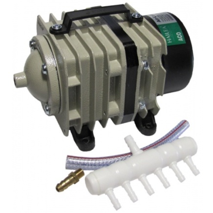 Compresor de Aire Hailea ACO-318