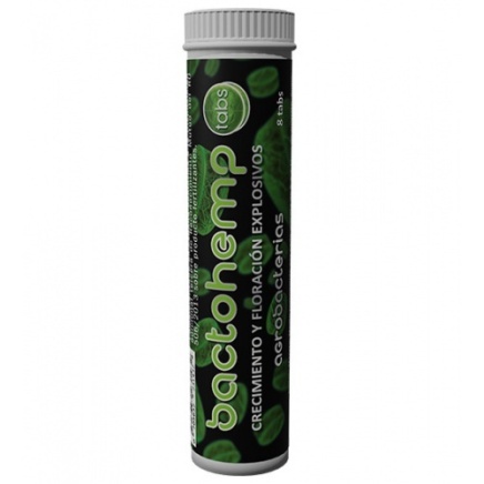 Bactohemp Tabs