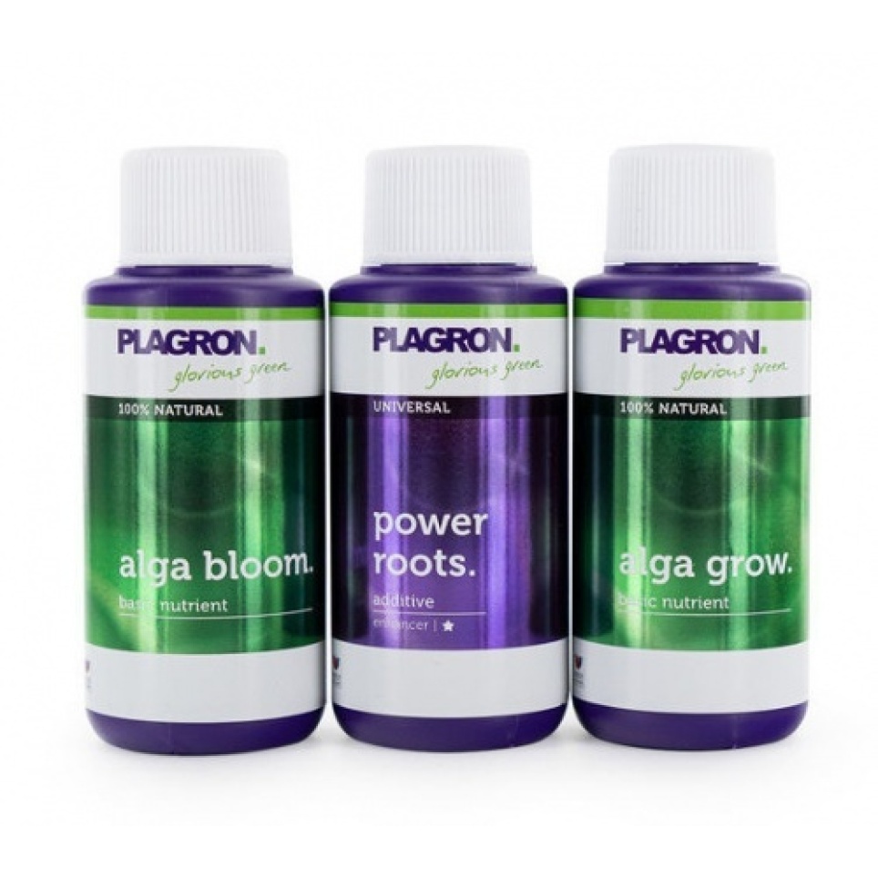 Starter Set 100% Natural