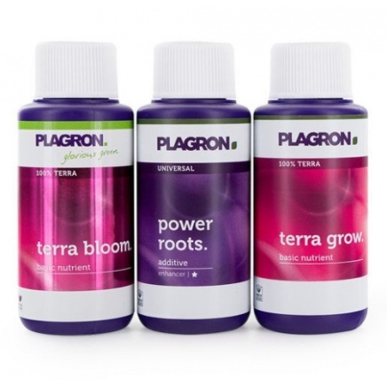 Starter Set 100% Terra