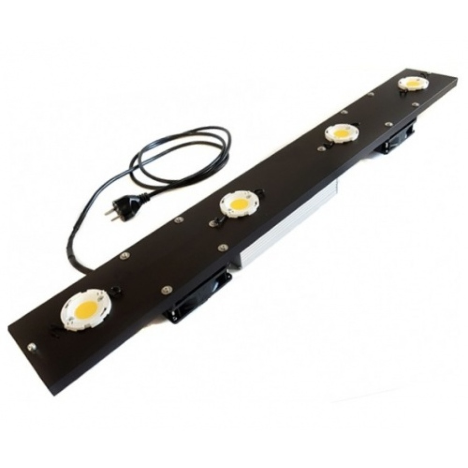 LED TGL 220 Evolution (6500K)