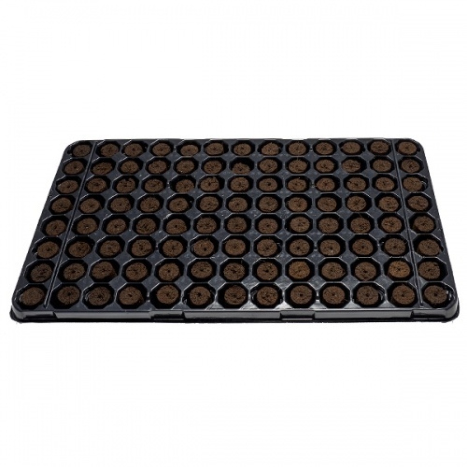 Bandeja Plugin Pro 104 Alveolos