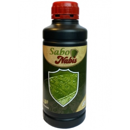 Sabonabis