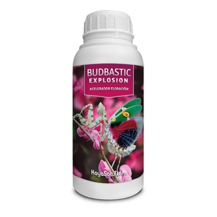Budbastic Explosion