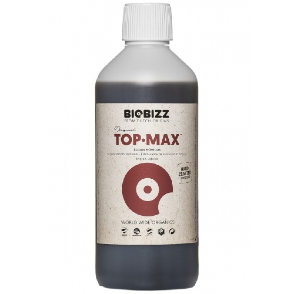 Top Max