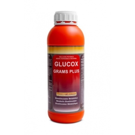GLUCOX GRAMS PLUS