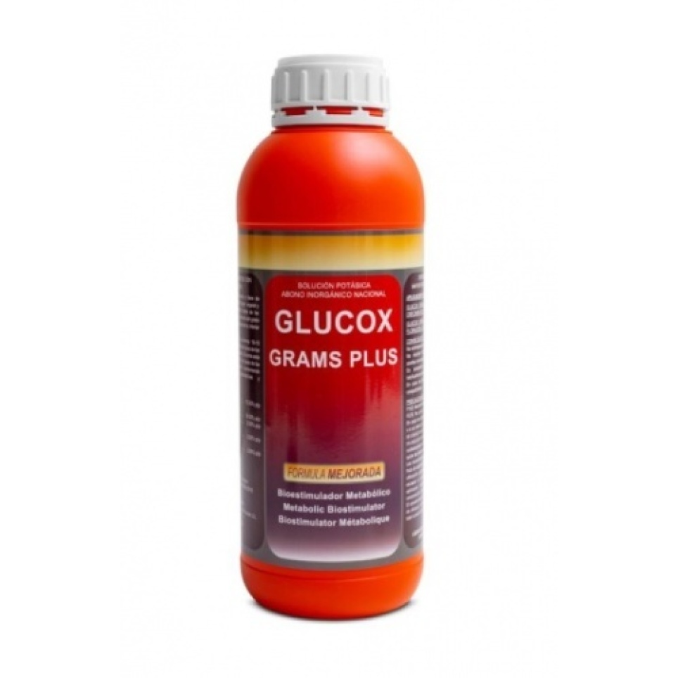 GLUCOX GRAMS PLUS