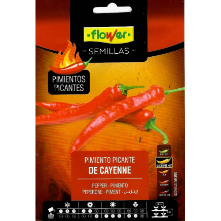 Cayenne