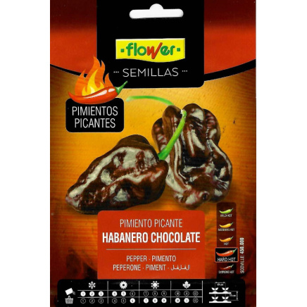Habanero Chocolate