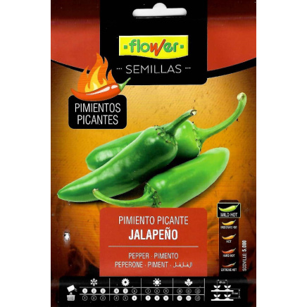 Jalapeño