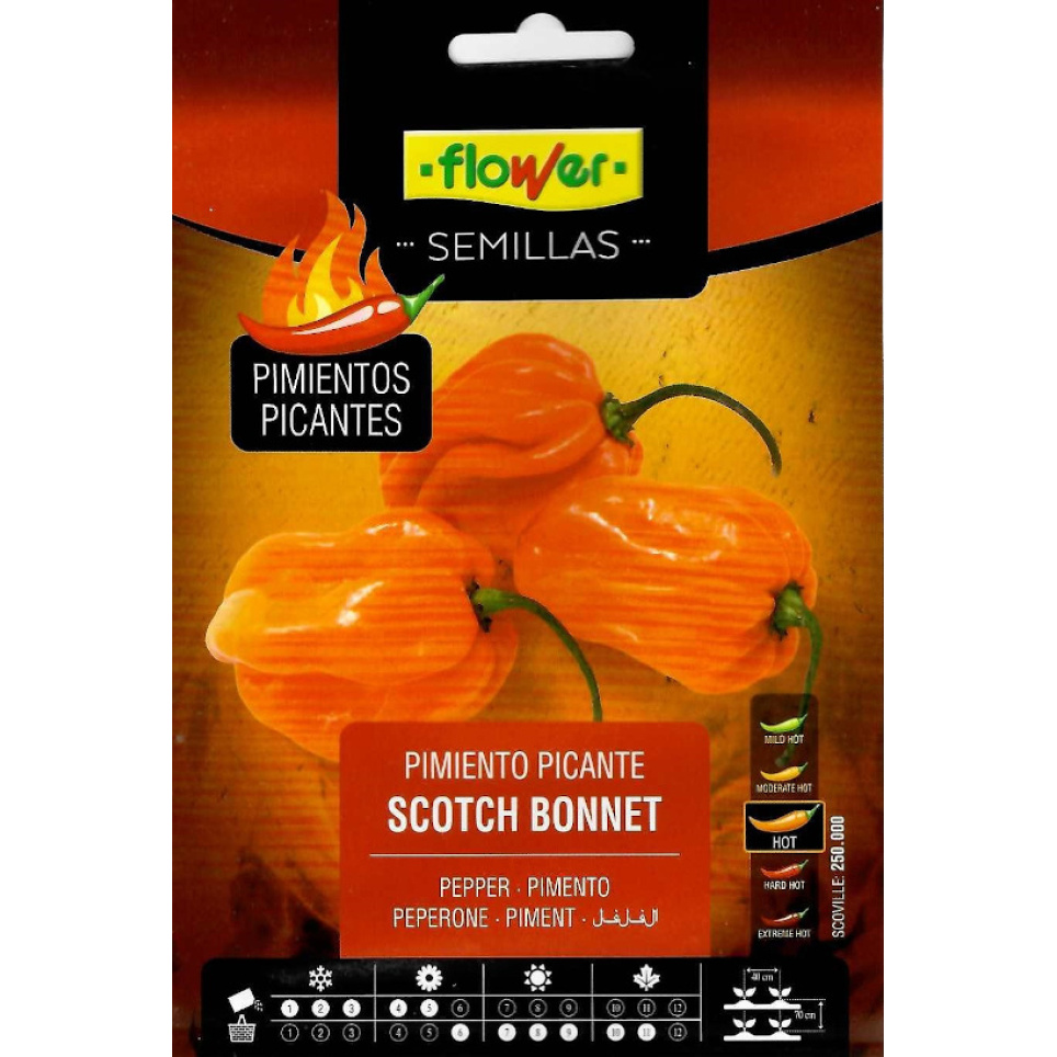 Scotch Bonnet